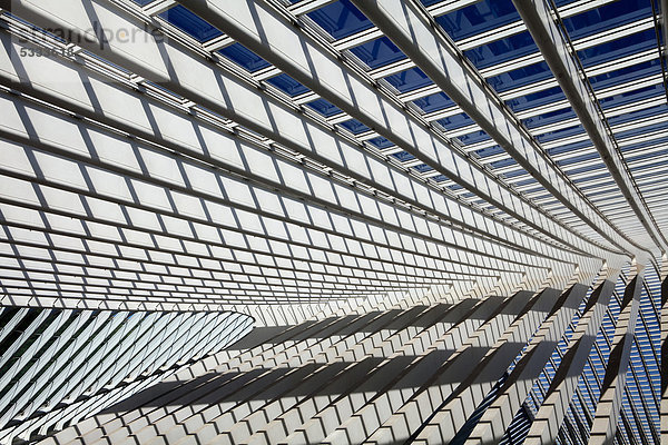 Dachdetail der Bahnhofshalle  Bahnhof Gare de LiËge-Guillemins  Architekt Santiago Calatrava  Lüttich  LiËge  Luik  Wallonien  Wallonie  Belgien  Europa