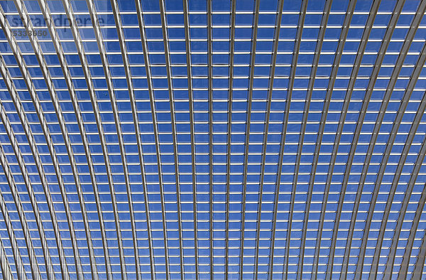 Dachdetail der Bahnhofshalle  Bahnhof Gare de LiËge-Guillemins von Architekt Santiago Calatrava  Lüttich oder LiËge oder Luik  Wallonie oder Wallonien  Belgien  Europa