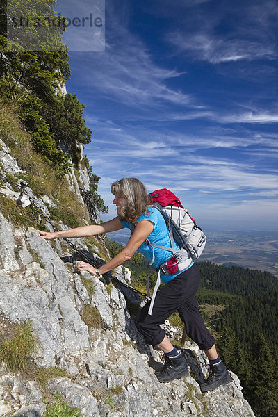 Frau  45 Jahre  auf Klettersteig auf das Ettaler Manndl am Laberberg in den Ammergauer Alpen  Ettal  Oberbayern  Bayern  Deutschland  Europa