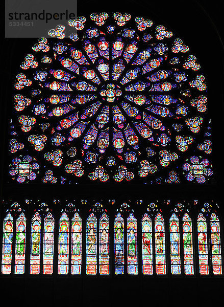 Fensterrose  Glasfenster  Kathedrale Notre-Dame de Paris  Ile de la CitÈ  Paris  Frankreich  Europa
