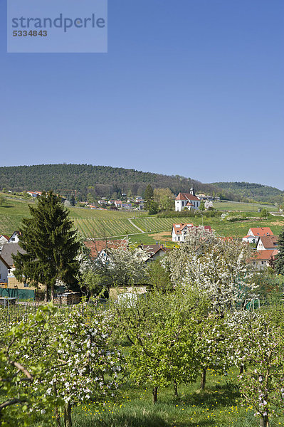 Ortsbild mit Blick zur Sankt Dionysiuskapelle  Gleiszellen-Gleishorbach  Deutsche Weinstraße  Pfalz  Rheinland-Pfalz  Deutschland  Europa