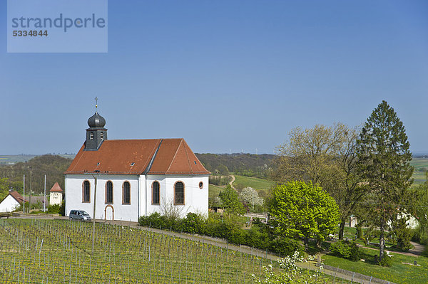 Sankt Dionysiuskapelle  Gleiszellen-Gleishorbach  Deutsche Weinstraße  Pfalz  Rheinland-Pfalz  Deutschland  Europa