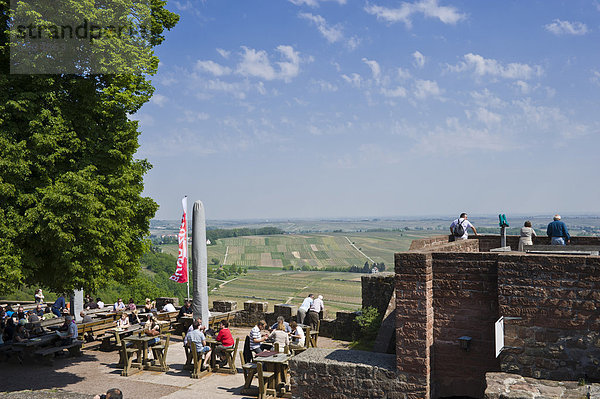 Innenhof Burg Landeck  Klingenmünster  Deutsche Weinstraße  Pfalz  Rheinland-Pfalz  Deutschland  Europa