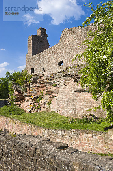 Ruine Madenburg  Eschbach  Deutsche oder Südliche Weinstraße  Pfalz  Rheinland-Pfalz  Deutschland  Europa