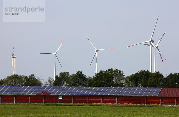 Windpark  Solarenergie-Gewinnung durch Solarzellen auf einem großen landwirtschaftlichen Stall  bei Rhede Ems  Niedersachsen  Deutschland  Europa
