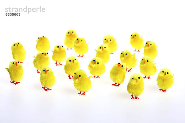 Mini chicks  Easter decorations