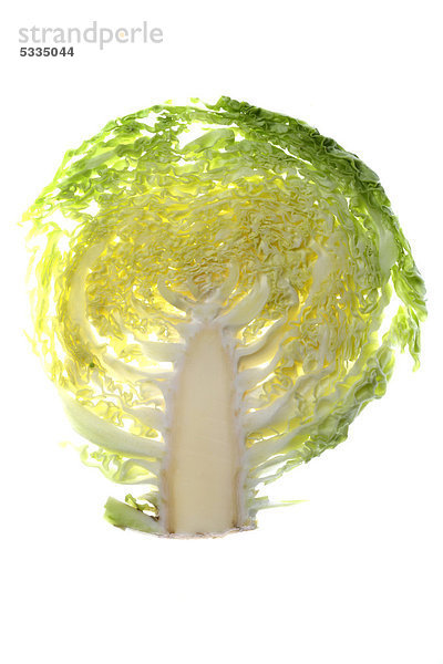 Wirsing  auch Wirsingkohl  Welschkraut  Welschkohl (Brassica oleracea convar. capitata var. sabauda)  Querschnitt