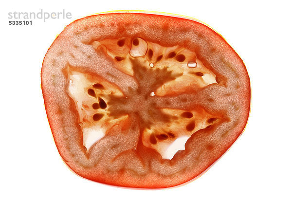 Tomate  Strauchtomate (Solanum lycopersicum)  Querschnitt