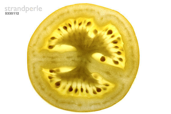 Gelbe Tomate (Solanum lycopersicum)  Querschnitt