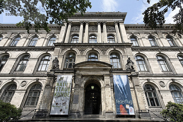 Museum für Naturkunde  Berlin-Mitte  Deutschland  Europa
