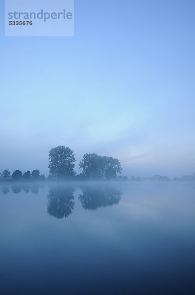 Blaue Stunde  Morgendämmerung an einem Fischteich bei Altremda  Thüringen  Deutschland  Europa