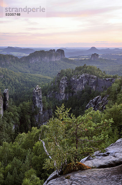 Blick vom Carolafelsen  Abendrot im Elbsandsteingebirge  Sachsen  Deutschland  Europa