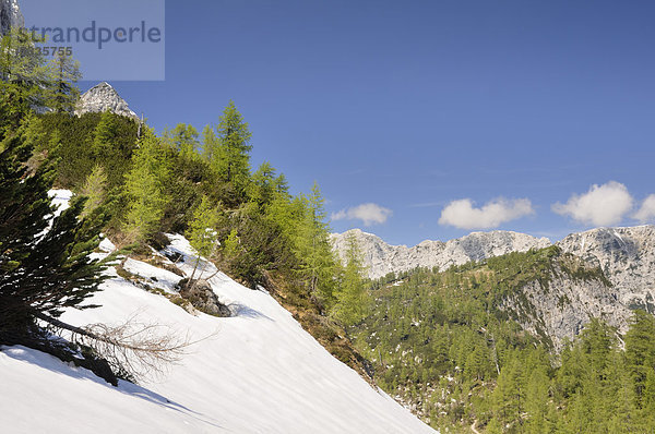 Gebirgslandschaft nahe dem Vrsic Pass  Triglav Nationalpark  Slowenien  Europa