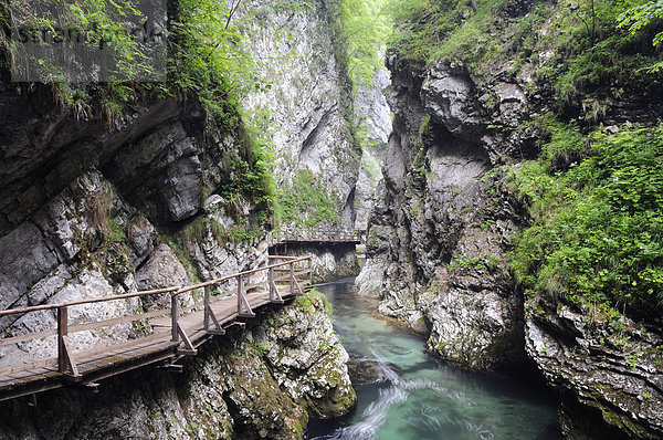 Holzsteg über dem Wasserlauf der Radovna in der Vintgarschlucht  Slowenien  Europa