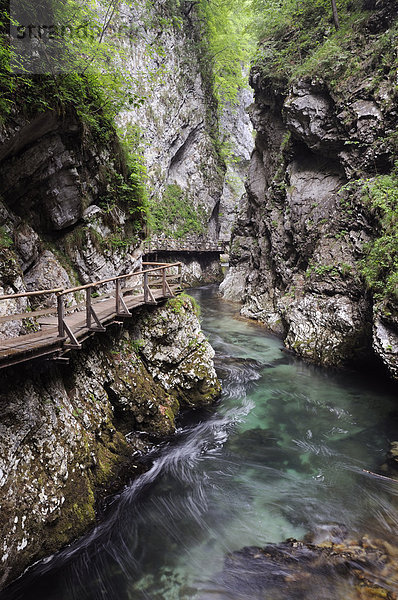 Holzsteg über dem Wasserlauf der Radovna in der Vintgarschlucht  Slowenien  Europa