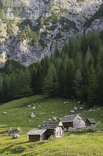Almhütten auf der Hochebene Pokljuka  Triglav Nationalpark  Slowenien  Europa