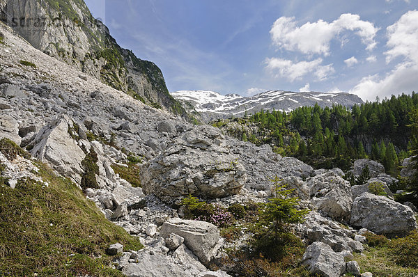 Berglandschaft beim Krn-See  Triglav Nationalpark  Slowenien  Europa