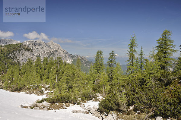 Gebirgslandschaft nahe dem Vrsic Pass  Triglav Nationalpark  Slowenien  Europa