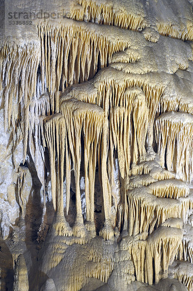Calcit-Tropfsteinformation im Big Room  Carlsbad-Caverns-Nationalpark  New Mexico  USA