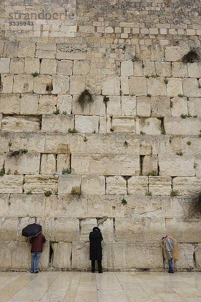 Betende Juden an der Klagemauer  Arabisches Viertel  Altstadt  Jerusalem  Israel  Naher Osten