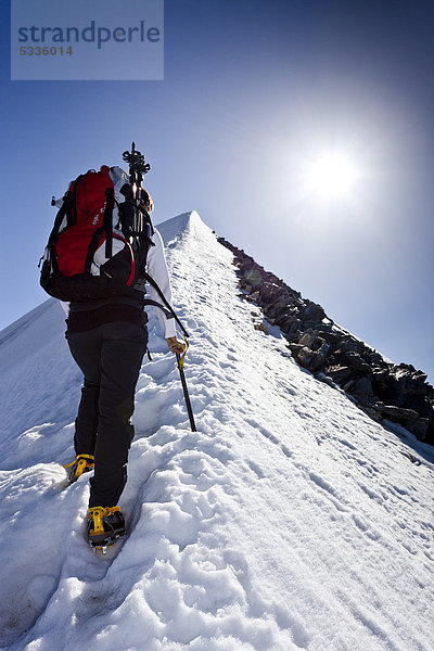 Bergsteiger beim Aufstieg zum Hochfeiler  Pfitschertal  Südtirol  Italien  Europa
