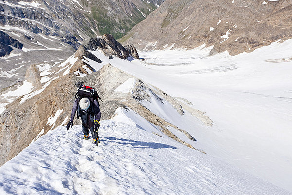 Bergsteiger beim Aufstieg zum Hochfeiler  Pfitschertal  Südtirol  Italien  Europa