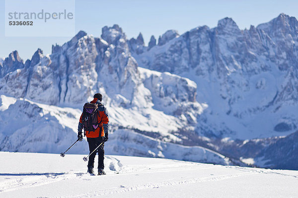 Skitourengeher bei der Abfahrt vom Uribrutto beim Passo Valles  Dolomiten  hinten die Pallagruppe  Trentino  Italien  Europa