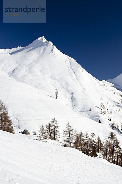 Ausblick beim Aufstieg durch das Valfredda zur Forca Rossa oberhalb des Pellegrinopasses  Dolomiten  Trentino  Italien  Europa