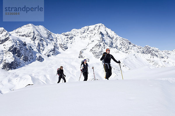 Skitourengeher beim Aufstieg zur hinteren Schöntaufspitze  Sulden im Winter  hinten der Ortler und der Zebru  Südtirol  Italien  Europa