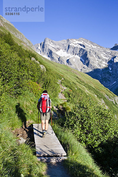 Bergsteiger beim Aufstieg zum Hochfeiler  durch das Pfitschertal  Südtirol  Italien  Europa