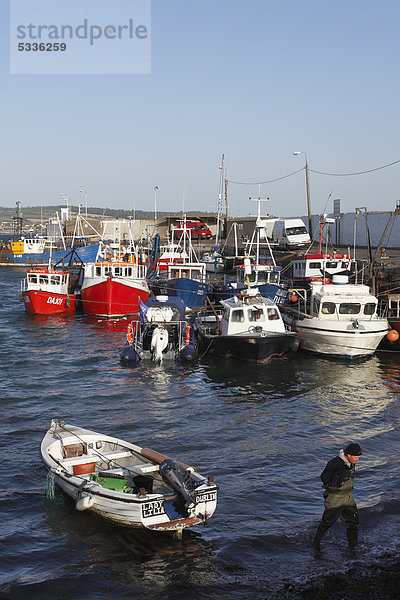 Boote im Fischerhafen  Skerries  County Fingal  Republik Irland  Europa