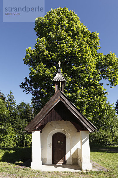Kapelle auf Taubenberg  Warngau  Oberbayern  Bayern  Deutschland  Europa  ÖffentlicherGrund
