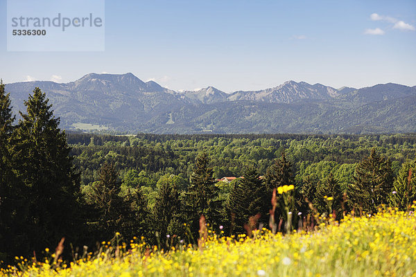 Blick vom Taubenberg bei Warngau zum Mangfallgebirge  Oberbayern  Bayern  Deutschland  Europa