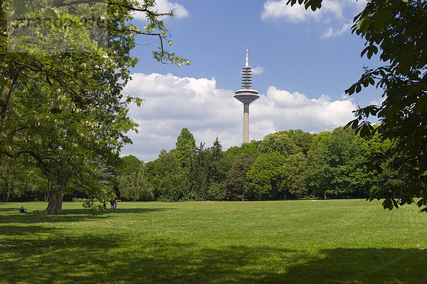 Grüneburgpark  hinten Frankfurter Fernmeldeturm Ginnheimer Spargel  Grüngürtel in Frankfurt  Deutschland  Hessen  Europa