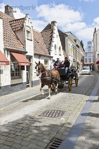 Pferdewagen für Touristen in der Altstadt  Brügge  Unesco Weltkulturerbe  Flandern  Belgien  Europa  ÖffentlicherGrund