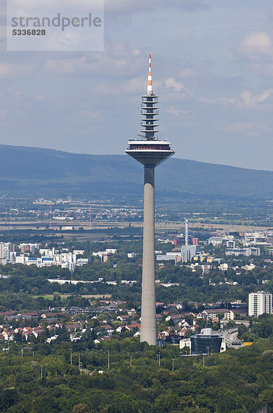 Blick auf den Fernsehturm  Frankfurt am Main  Hessen  Deutschland  Europa