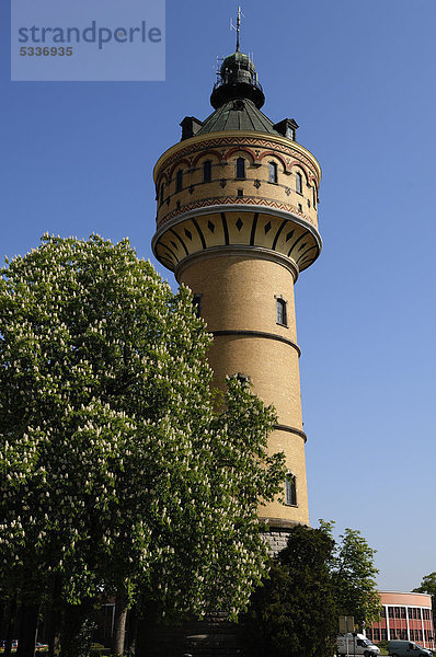 Der wilhelminische Wasserturm  1906  Höhe 50 m  links blühende Rosskastanie (Aesculus hippocastanum)  Place du GÈnÈral de Gaulle  SÈlestat  Elsass  Frankreich  Europa