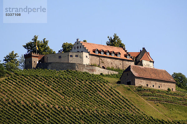 Burg Staufenberg mit Weinbergen  Durbach  Baden-Württemberg  Deutschland  Europa