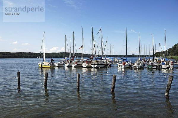 Segelboote in einem kleinen Yachthafen am Ratzeburger See  Römnitz  Schleswig-Holstein  Deutschland  Europa