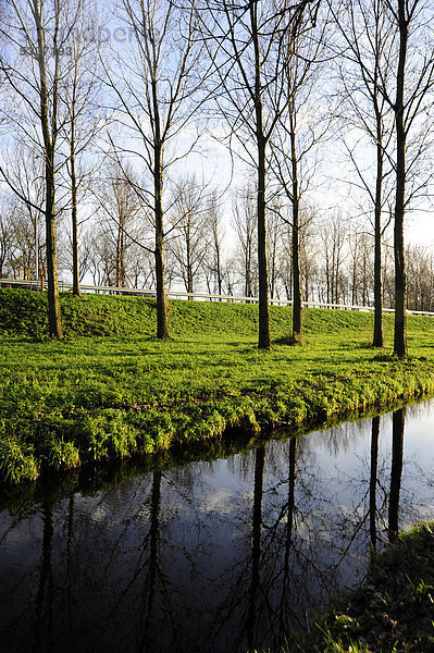 Grünstreifen entlang der Autobahn  Spiegelung im Wasser  Landschaft zwischen Gouda und Bodegraven  Reeuwijk  Holland  Niederlande  Europa