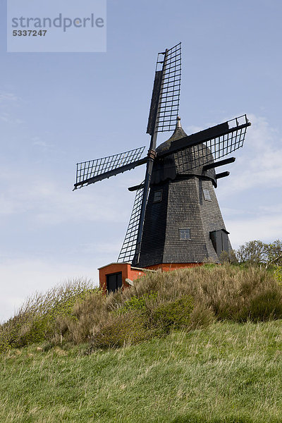 Die Mühle des Boerglum Klosters bei Bodilshoej  Dänemark  Europa