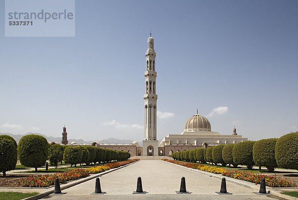 Minarett  Blumenrabatte  Bäume  Große Sultan-Qabus-Moschee  Hauptstadt Maskat  Muscat  Sultanat von Oman  Golfstaat  Arabische Halbinsel  Naher Osten  Asien
