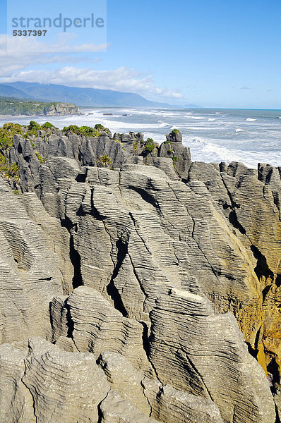 Felsformationen der Pancake Rocks  Punakaiki im Paparoa Nationalpark  Südinsel  Neuseeland