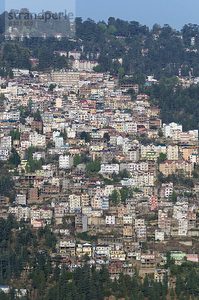 Shimla  Hauptstadt von Himachal Pradesh  Nordindien  Indien  Asien