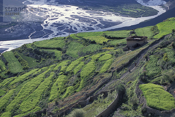 Felder  Dhankar  Spiti  Himachal Pradesh  Himalaya  Nordindien  Indien  Asien