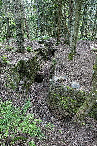Schützengraben  Stellung aus dem 1. Weltkrieg  Lingekopf  elsässische Vogesen  Frankreich  Europa