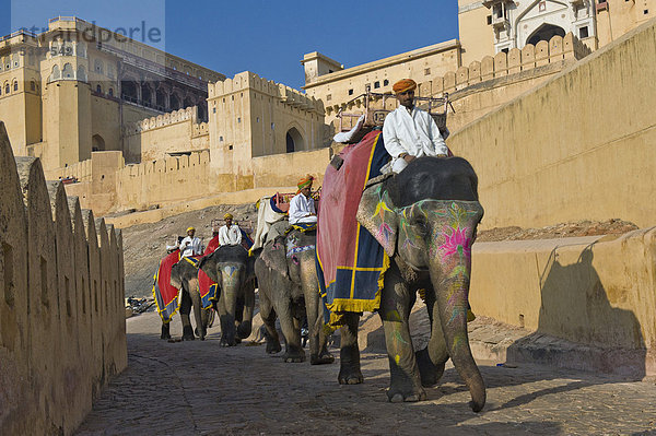 Bemalte Elefanten und Mahouts  Festung von Amber oder Amber Fort  Jaipur  Rajasthan  Indien  Asien