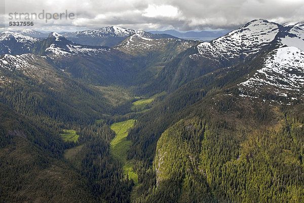 Luftaufnahme  bei Prince Rupert  British Columbia  Kanada  Nordamerika