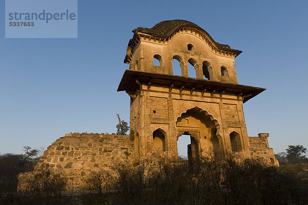 Ruine  Orchha  Madhya Pradesh  Nordindien  Indien  Asien