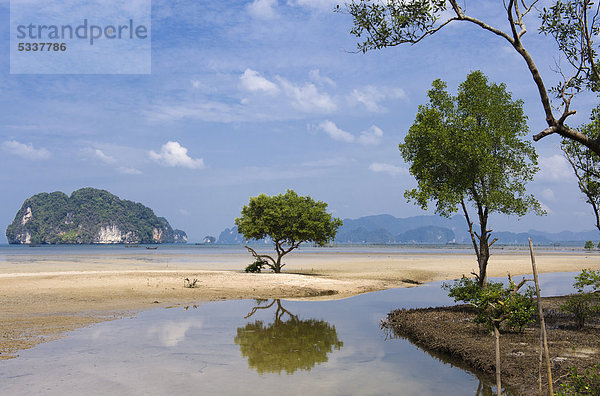 Mangrovenküste  Bucht von Ao Tha Len  Krabi  Thailand  Asien